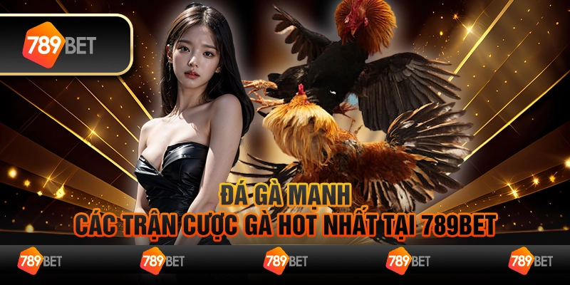 Đá Gà Mạnh - Các Trận Cược Gà Hot Nhất Tại 789Bet