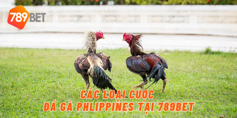 Các loại cược đá gà phlippines tại 789bet