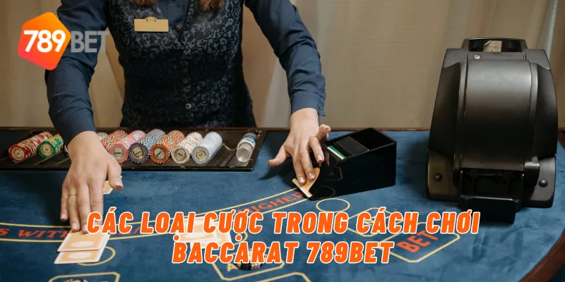 Các loại cược trong cách chơi baccarat 789BET