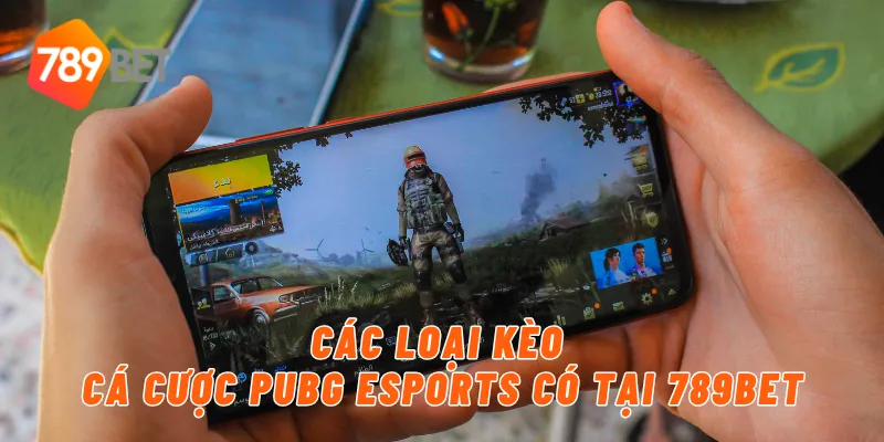 Các loại kèo cá cược PUBG eSports có tại 789BET
