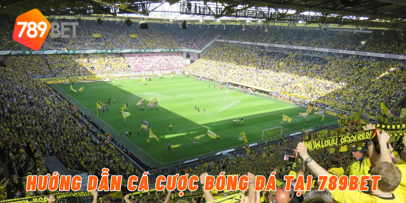 Hướng dẫn cá cược bóng đá tại 789BET