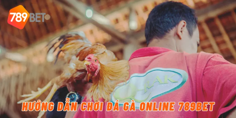 Hướng dẫn chơi đá gà online 789BET