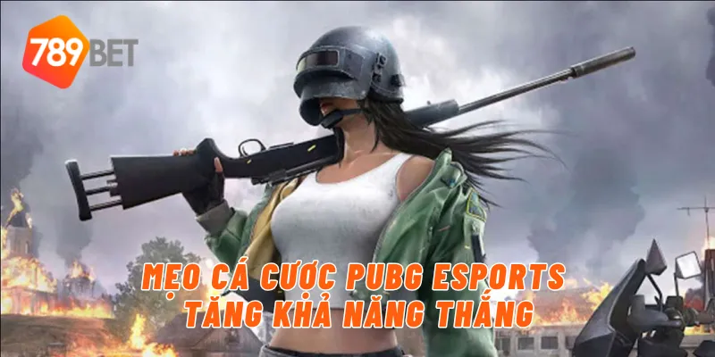 Mẹo cá cược PUBG eSports tăng khả năng thắng