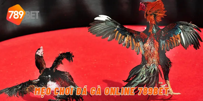 Mẹo chơi đá gà online 789BET