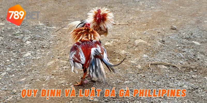 Quy định và luật đá gà phillipines