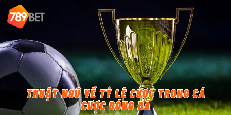 Thuật ngữ về tỷ lệ cược trong cá cược bóng đá