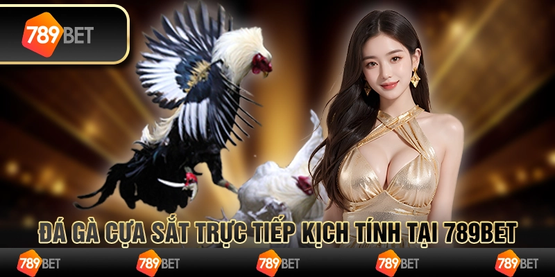 Đá Gà Cựa Sắt Trực Tiếp Kịch Tính Tại 789BET