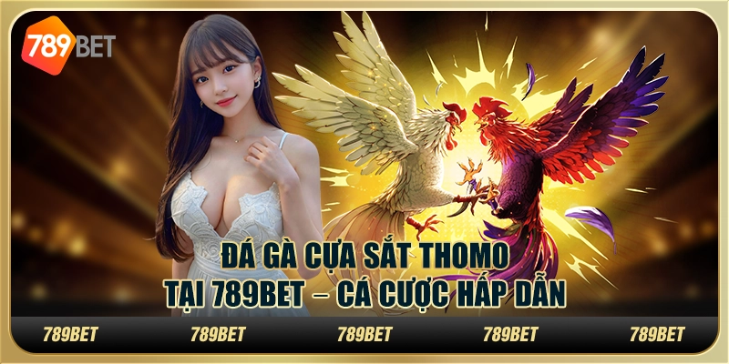 Đá Gà Cựa Sắt Thomo Tại 789BET – Cá Cược Hấp Dẫn