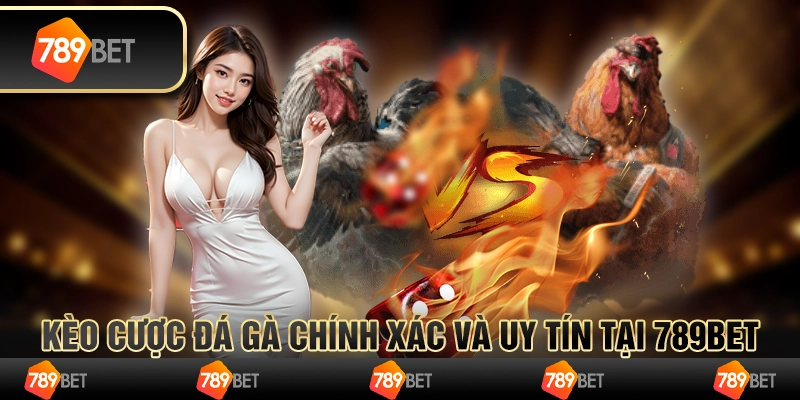 Kèo Cược Đá Gà Chính Xác Và Uy Tín Tại 789BET