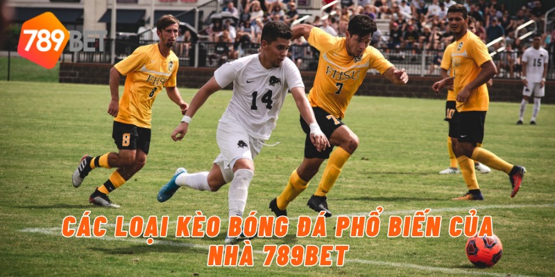 Các loại kèo bóng đá phổ biến của nhà 789BET