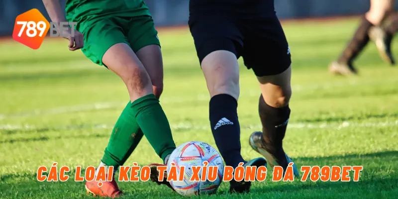 Các loại kèo tài xỉu bóng đá 789BET
