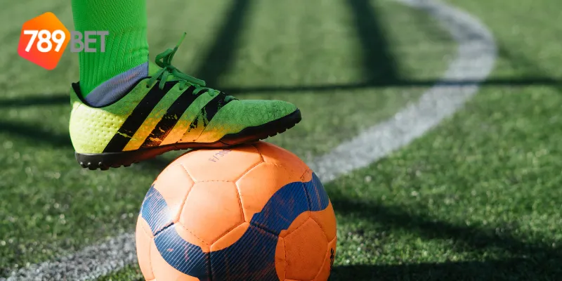 Các tính năng của nhà cái cá cược thể thao