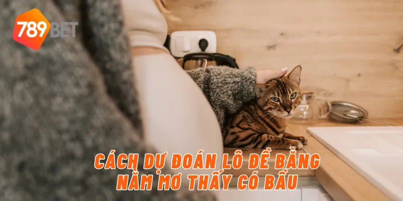 Cách dự đoán lô đề bằng nằm mơ thấy có bầu