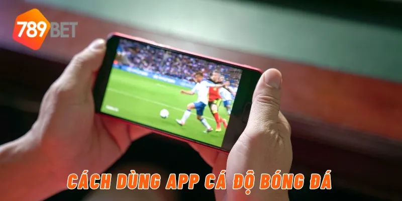 Cách dùng app cá độ bóng đá