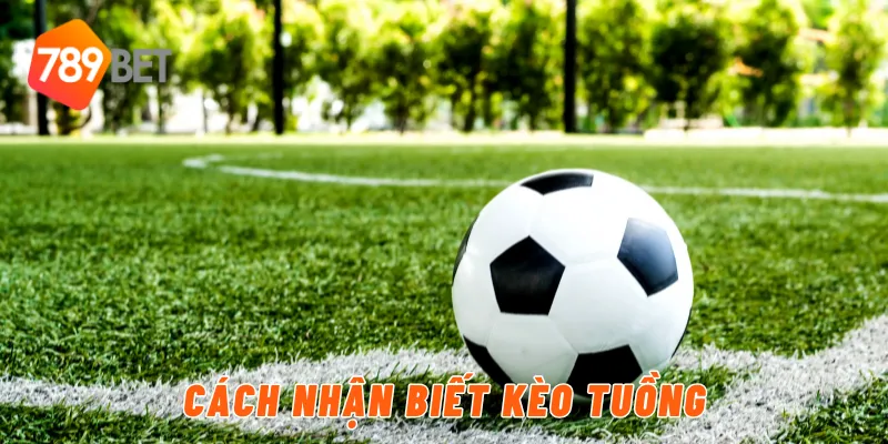 Cách nhận biết kèo tuồng