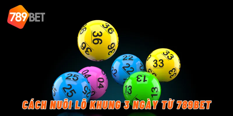 Cách nuôi lô khung 3 ngày từ 789BET