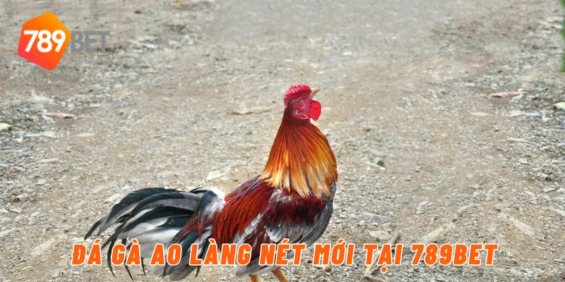 Đá gà ao làng nét mới tại 789BET