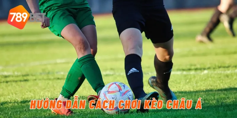 Hướng dẫn cách chơi kèo châu Á