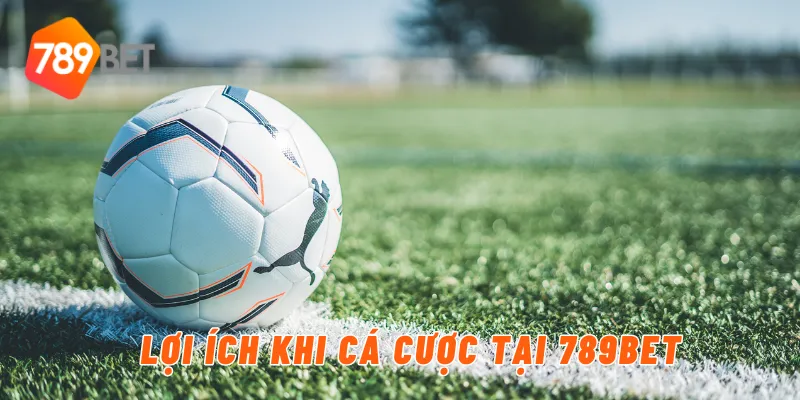 Lợi ích khi cá cược tại 789BET