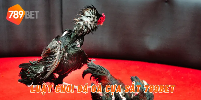 Luật chơi đá gà cựa sắt 789BET