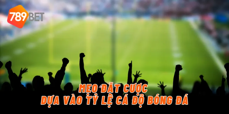 Mẹo đặt cược dựa vào tỷ lệ cá độ bóng đá