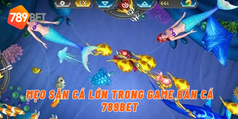Mẹo săn cá lớn trong game bắn cá 789BET