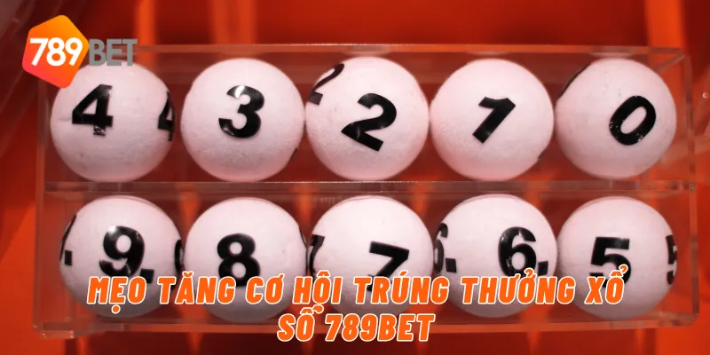 Lý do chọn xổ số chính xác tại 789BET