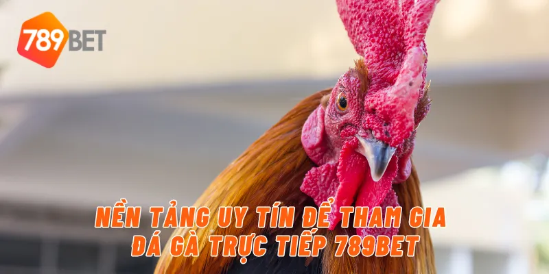 Nền tảng uy tín để tham gia đá gà trực tiếp 789BET