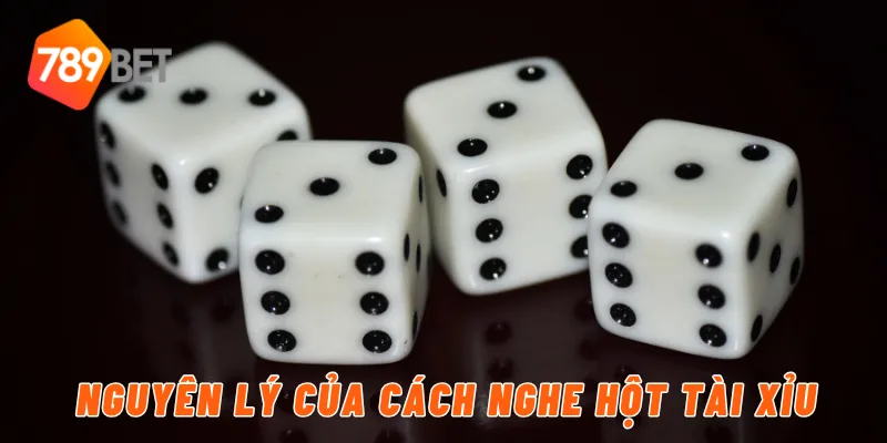 Nguyên lý của cách nghe hột tài xỉu