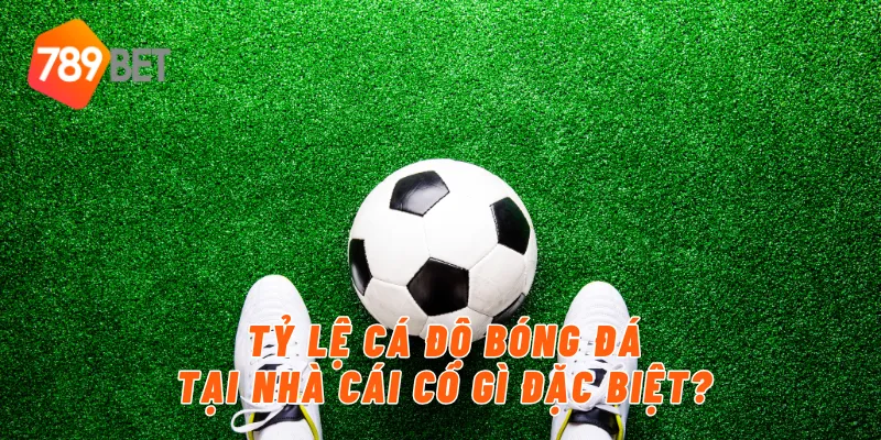 Tỷ lệ cá độ bóng đá tại nhà cái có gì đặc biệt?