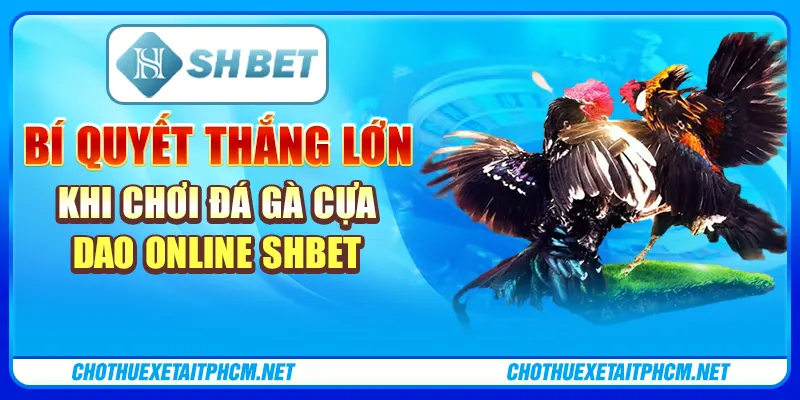 Bí Quyết Thắng Lớn Khi Chơi Đá Gà Cựa Dao Online Shbet