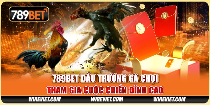 789BET đấu trường gà chọi – Tham gia cuộc chiến đỉnh cao