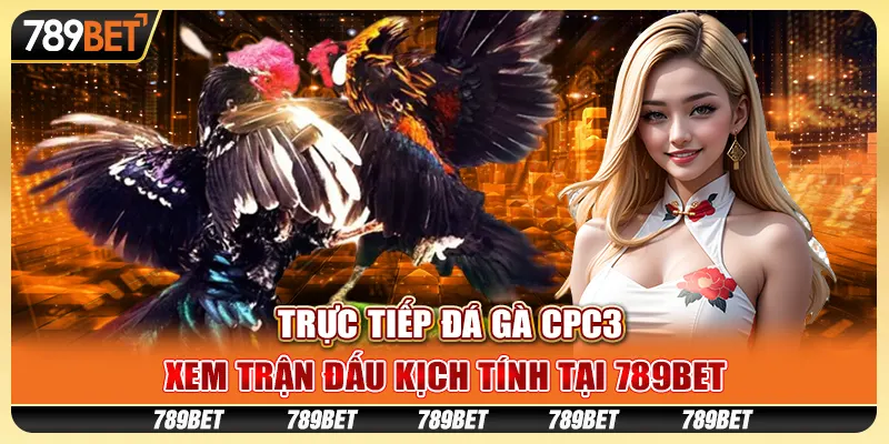 Trực Tiếp Đá Gà CPC3, Xem Trận Đấu Kịch Tính Tại 789BET