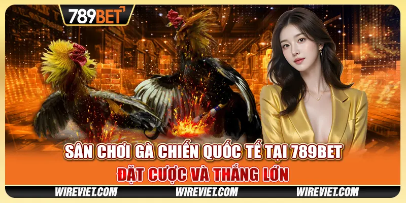 Sân chơi gà chiến quốc tế tại 789BET - Đặt cược và thắng lớn