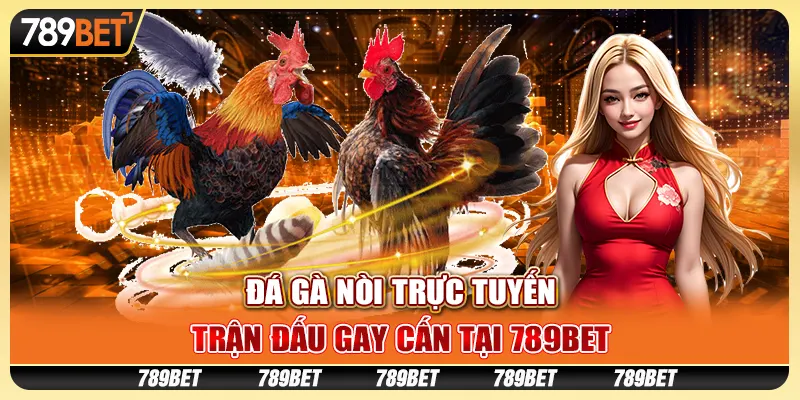 Đá Gà Nòi Trực Tuyến, Trận Đấu Gay Cấn Tại 789BET