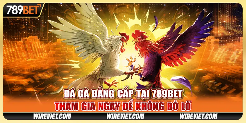 Đá Gà Đẳng Cấp tại 789BET - Tham gia ngay để không bỏ lỡ