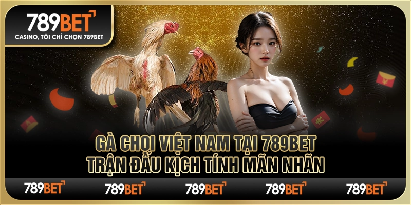 Gà Chọi Việt Nam Tại 789Bet - Trận Đấu Kịch Tính Mãn Nhãn