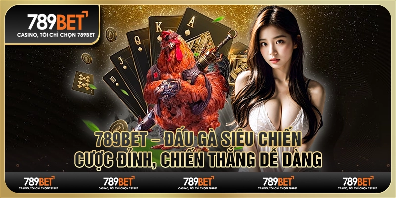 789BET – Đấu gà siêu chiến, cược đỉnh, chiến thắng dễ dàng
