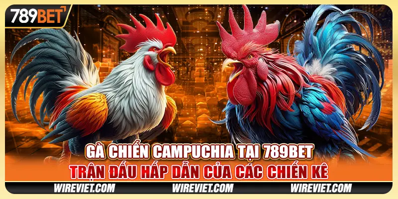 Gà Chiến Campuchia tại 789BET - Trận đấu hấp dẫn của các chiến kê