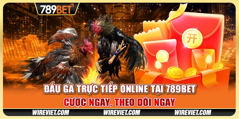 Đấu Gà Trực Tiếp Online tại 789BET - Cược ngay, theo dõi ngay