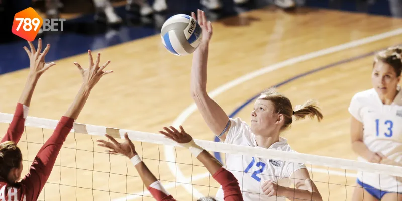 Cập nhật tin tức bóng chuyền nữ mới nhất