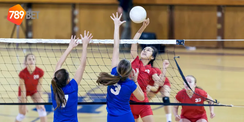 Tin tức các giải đấu hàng đầu trong làng bóng chuyền nữ