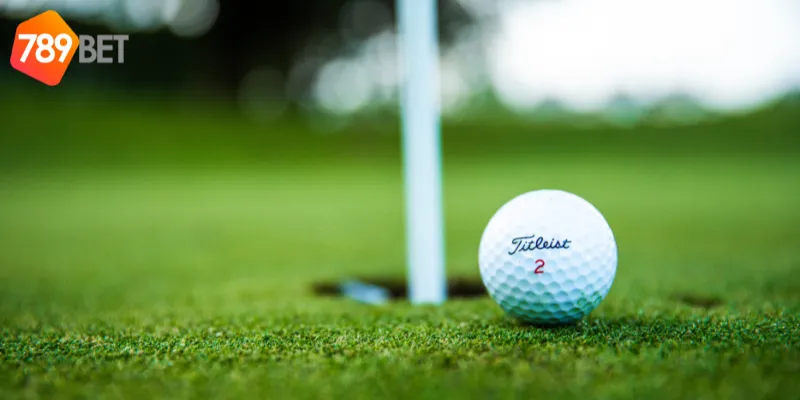 Tin tức golf PGA Tour về kết quả thi đấu