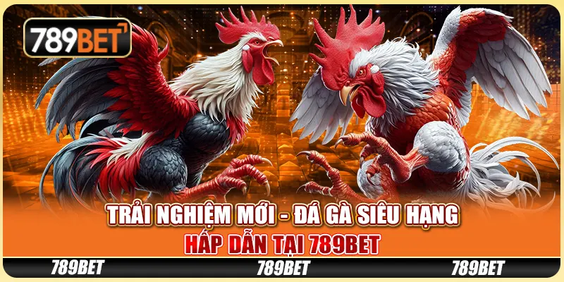 Đá Gà Siêu Hạng Hấp Dẫn Tại 789BET: Trải Nghiệm Mới