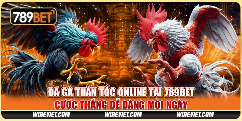Đá Gà Thần Tốc Online Tại 789BET - Cược Thắng Dễ Dàng Mỗi Ngày