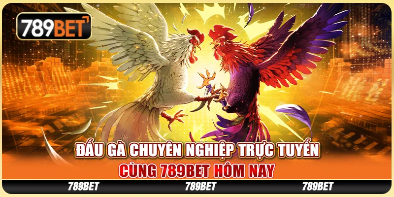 Đấu Gà Chuyên Nghiệp Trực Tuyến Cùng 789BET Hôm Nay