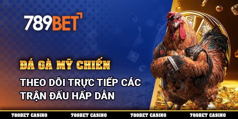 Đá Gà Mỹ Chiến – Theo dõi trực tiếp các trận đấu hấp dẫn cùng 789BET