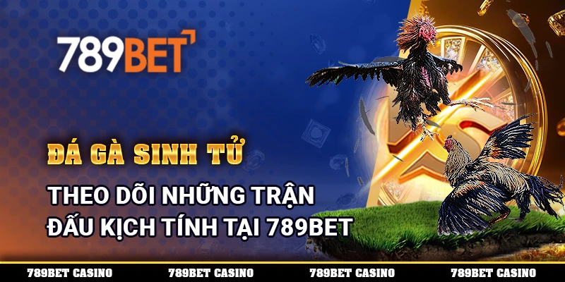 Đá Gà Sinh Tử, Theo Dõi Những Trận Đấu Kịch Tính Tại 789BET
