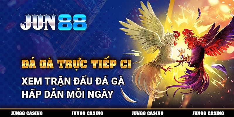 Đá Gà Trực Tiếp C1