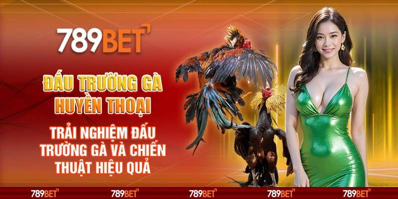 Đấu Trường Gà Huyền Thoại – Trải Nghiệm Đấu Trường Gà và Chiến Thuật Hiệu Quả